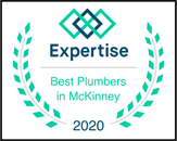 2020 Expertise Best Plumbers in McKinney award badge