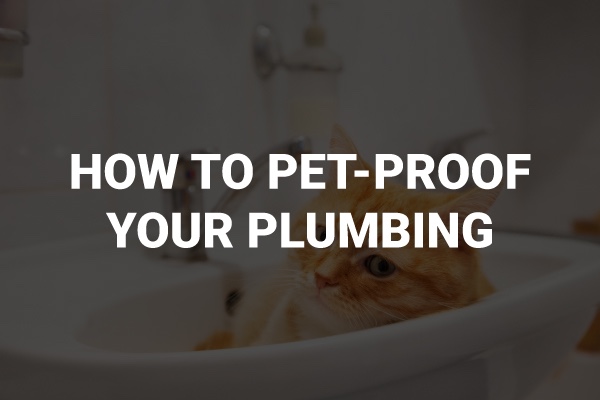 A picture of a dog in the bathtub with the words, "how to pet poof your plumbing