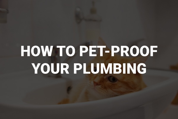 A picture of a cat in the bathtub with the words, "how to pet proof your plumbing